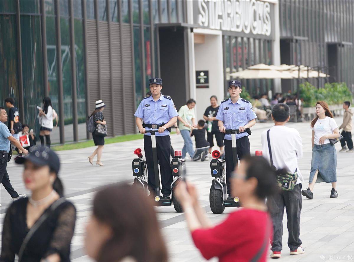 菠菜下载电视软件