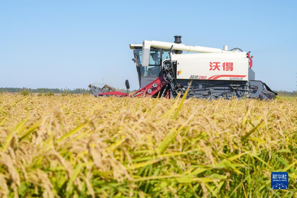 九线拉王游戏